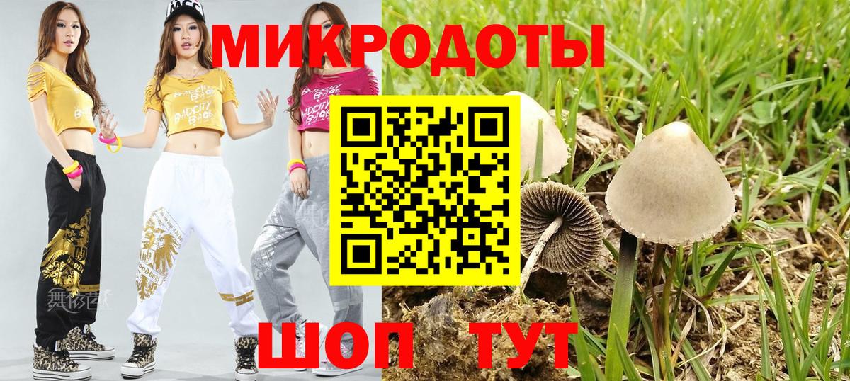 Нурлат  Псилоцибиновые грибы Psilocybine cubensis  Вход с VPN 