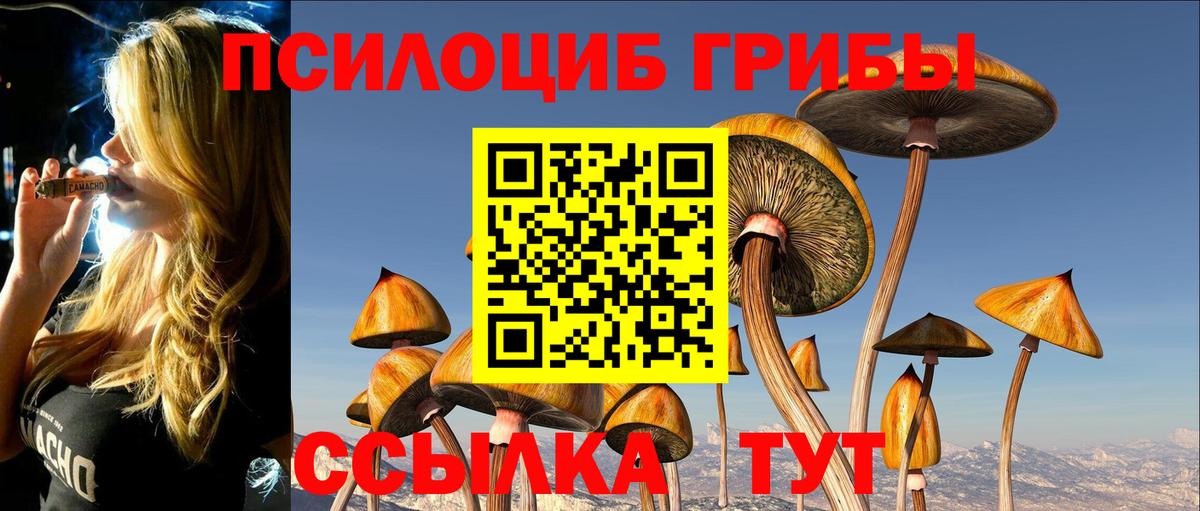 Псилоцибиновые грибы Psilocybine cubensis Нурлат
